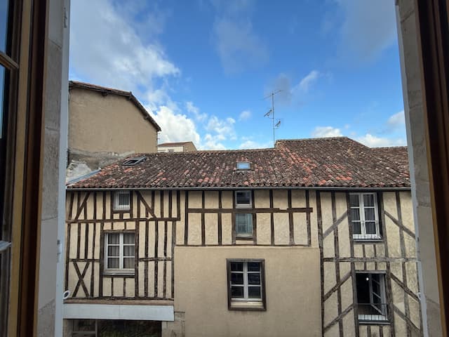 Photo 3 - Appartement Centre ville Poitiers